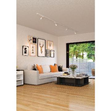  JUDY 029-Spot Rail 1 all. 029 