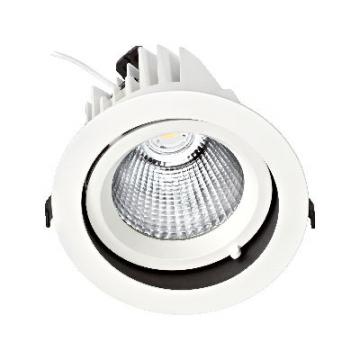  RANDY 4 - Downlight rond, orie 