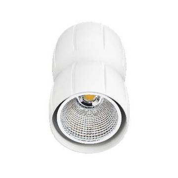  CURVES - Suspension, alu blc, 
