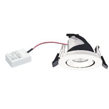  RANDY S - Downlight rond, orie 