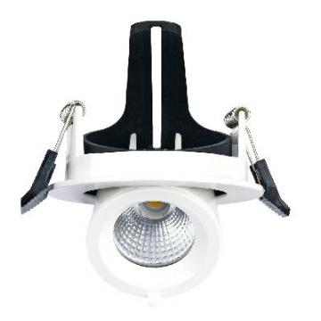  RANDY S - Downlight rond, orie 