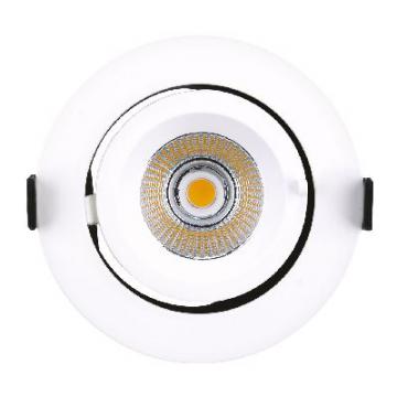  RANDY 1 - Downlight rond, orie 