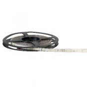 FLEXI CRISTAL -Ruban protg. IP 