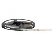  FLEXI CRISTAL -Ruban protg. IP 