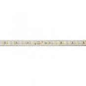  LINELED - Ruban LED protege IP 