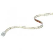  LINELED - Ruban LED protege IP 