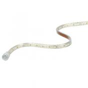  LINELED - Ruban LED protege IP 