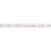  LEDY 230 - Ruban LED protege I 