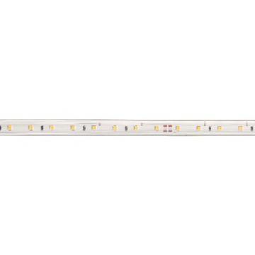  LEDY 230 - Ruban LED protege I 