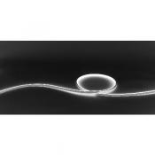  NEON 10X10 - Ruban LED protege 