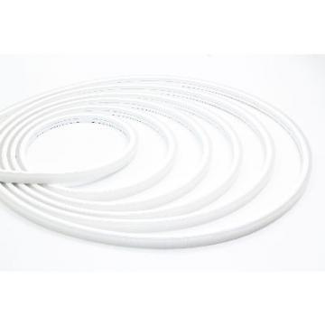  NEON 10X10 - Ruban LED protege 