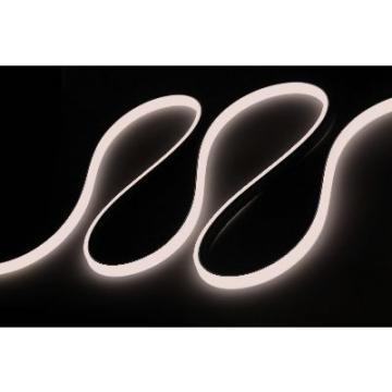  NEON 10X10 - Ruban LED protege 