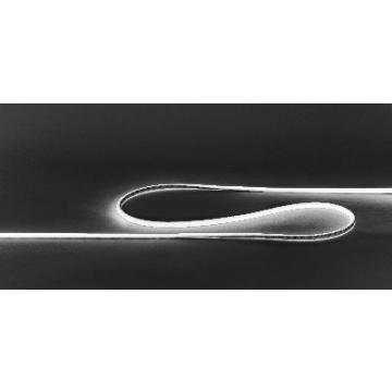  NEON DOME - Ruban LED protege 