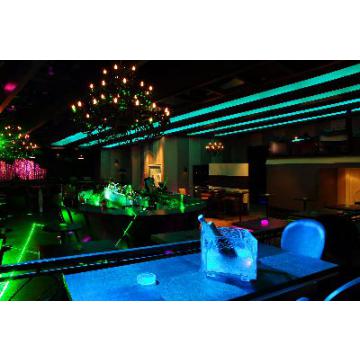  SIDE VIEW RGB - Ruban LED prot 