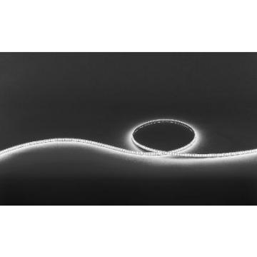  JAKLED 60 HR - Ruban LED soupl 