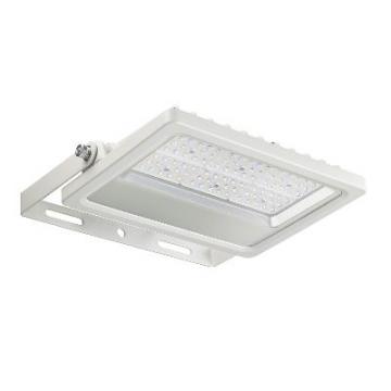  PROJ TECH ASYM-100W-3000K-IP65 