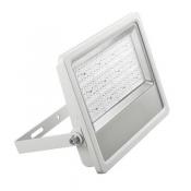  PROJ TECH ASYM-50W-3000K-IP65 