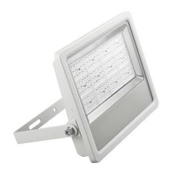  PROJ TECH ASYM-50W-3000K-IP65 