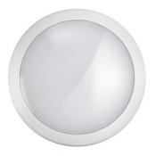  TF037-FOG SENSOR-20W-IP66-IK10 