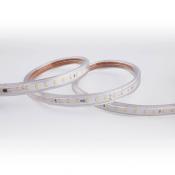  RUBAN 230V-PACK CHANTIER 50M-6 