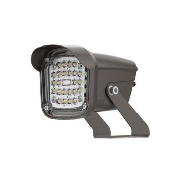  FLOOD PROJ-12W-60�-2 CCT-IP65 