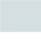  Plaque fond Gamma 13 pour r�ha 