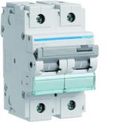  Disjoncteur 100A 2P 15kA Courb 