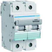  Disjoncteur 125A 2P 15kA Courb 