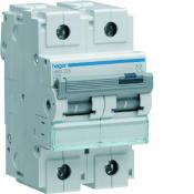  Disjoncteur 25A 2P 50kA Courbe 