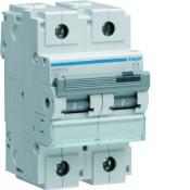  Disjoncteur 50A 2P 50kA Courbe 