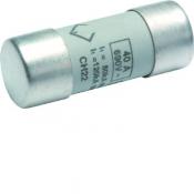  Cartouche Fusible cylindrique 