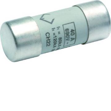  Cartouche Fusible cylindrique 