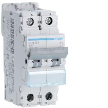  Disjoncteur 63A 2P 6-10kA Cour 