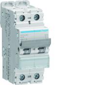  Disjoncteur 40A 2P 20kA Courbe 