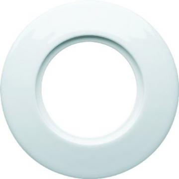  1930 Plaque en porcelaine 1 po 