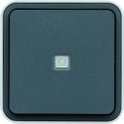  Bouton poussoir 1F  voyant t 