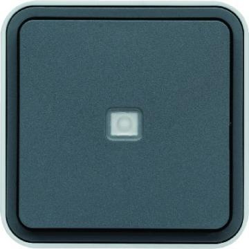  Bouton poussoir 1F  voyant t 