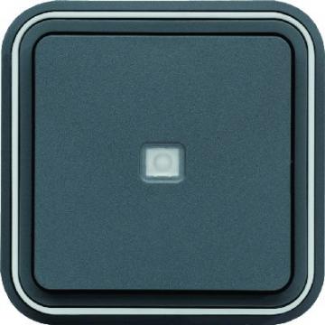  Bouton poussoir 1F voyant tmo 