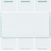  Enjoliveur 6 boutons poussoirs 