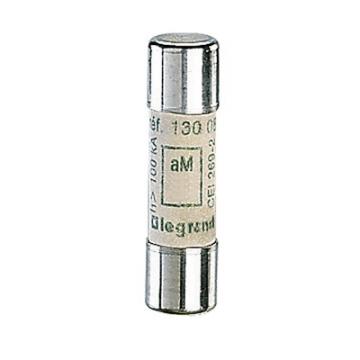  CARTOUCHE AM 10X38 16A 500V 