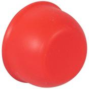  CAPUCHON ROUGE 