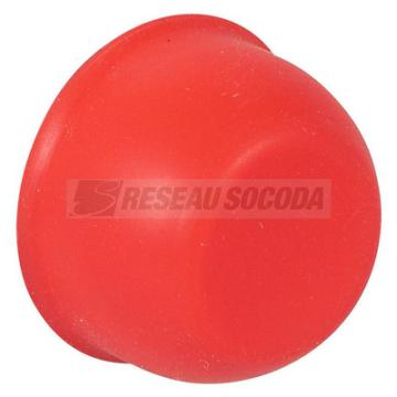  CAPUCHON ROUGE 