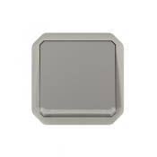  VV 10AX TEMOIN GRIS COMPO 