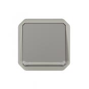 VV 10AX LUMINEUX GRIS COMPO 