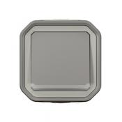  VV 10AX LUM GRIS SAILLIE 