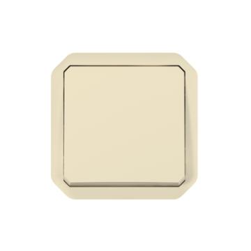  VV / POUSS SIMPLE BEIGE COMPO 