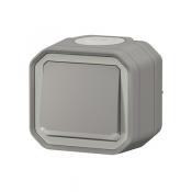  VV 10A TEMOIN GRIS SAILLIE 