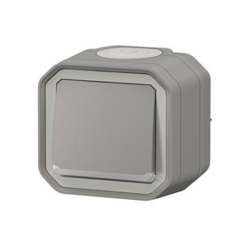 VV 10A TEMOIN GRIS SAILLIE 