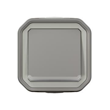  VV 10A TEMOIN GRIS SAILLIE 