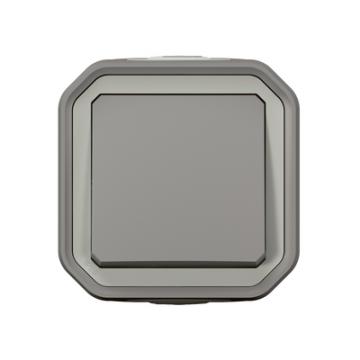  POUSSOIR NO GRIS SAILLIE 
